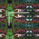 Tissu La Joie de Jam de Mme Elizabeth (Carreau)