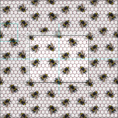 Tissu La ruche d'abeilles est blanche. Insecte des bourd (Carreau)