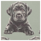 Tissu Labrador Retriever noir (Fermer)