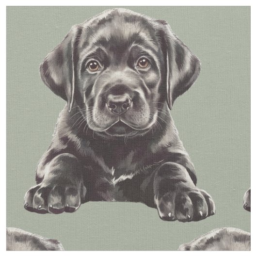 Tissu Labrador Retriever noir (Fermer)