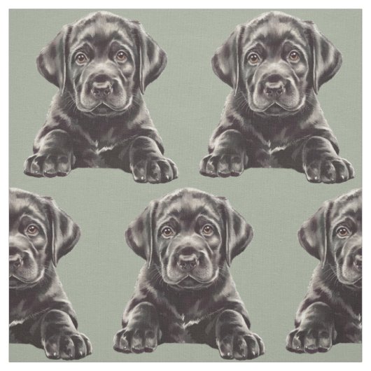 Tissu Labrador Retriever noir (Échantillon)