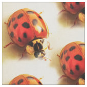 Tissu Ladybug Fabric (Fermer)