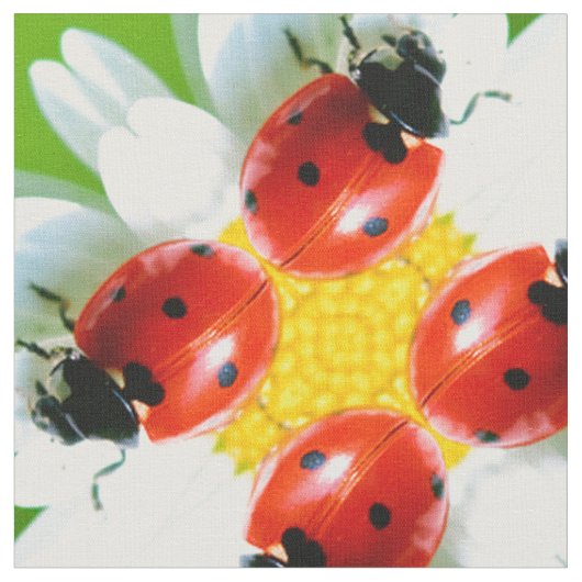 Tissu Ladybugs Art 1 (Fermer)