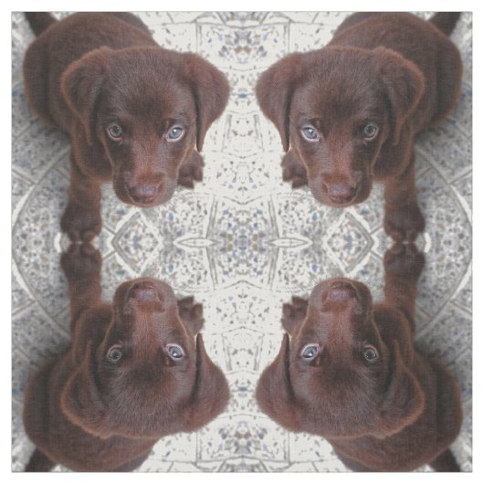 Tissu L'amour des chiots (Échantillon)