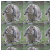 Tissu lapin (Échantillon)