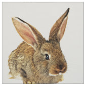 Tissu Lapin mignon (Échantillon)