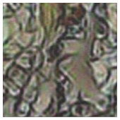 Tissu lapin toony (Détail)