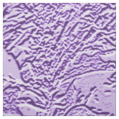 Tissu Lavender fun...... (Échantillon)