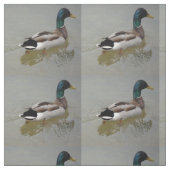 TISSU LE CANARD CLASSIQUE DE MALLARD (Échantillon)