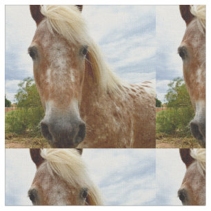 Tissu "Le sucre : la grâce de l'Appaloosa"