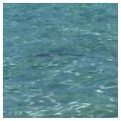 Tissu L'eau bleue tropicale 2 d'océan (Fermer)