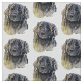 Tissu Leonberger (Échantillon)