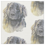 Tissu Leonberger (Détail)