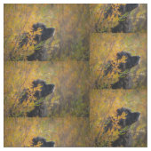 Tissu Leonberger d'automne (fermé)