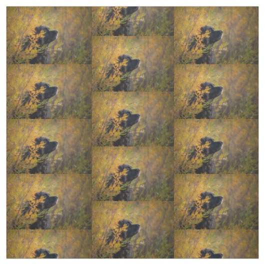 Tissu Leonberger d'automne (Échantillon)