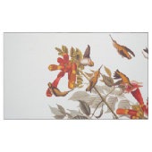 Tissu Les colibris à fleurs d'Audubon (Fat Quarter)
