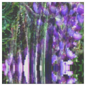 Tissu Les couronnes de Lupines... (Fermer)