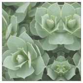 Tissu Les fleurs vertes (Échantillon)