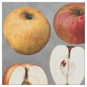 Tissu Les Pommes dorées rouges de l'enseignant (Fermer)