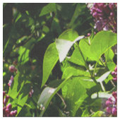 Tissu Lilas en fleurs..... (Fermer)