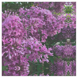 Tissu lilas rose violet photo florale rose romantique
