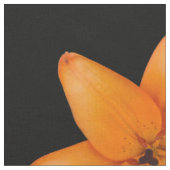 Tissu Lily (Fermer)