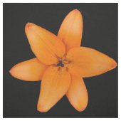 Tissu Lily (Échantillon)