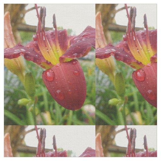 Tissu Lily (Fermer)