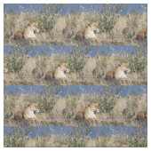 Tissu Lioness resting (Échantillon)