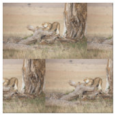 Tissu Lioness stretching (Fermer)