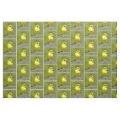 Tissu Loriole de verger - Photographie originale (Fat Quarter)