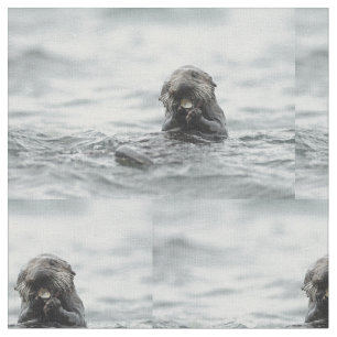 Tissu Loutre de mer adorable