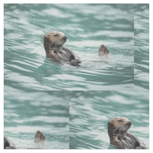 Tissu Loutre de mer de observation (Fermer)