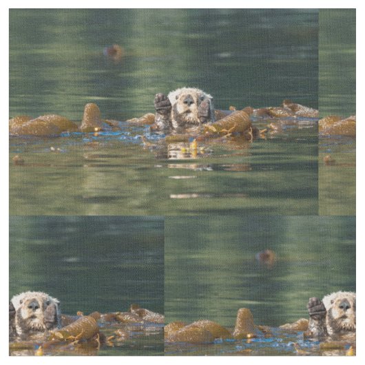 Tissu Loutre de mer de ondulation (Fermer)