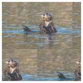 Tissu Loutre de mer ensoleillée (Fermer)