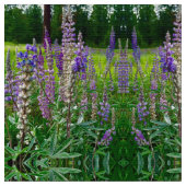 Tissu Lupines (Fermer)