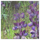 Tissu Lupines Galore... (Fermer)