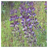 Tissu Lupines Galore... (Échantillon)