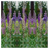 Tissu Lupines toutes dans une rangée (Fermer)