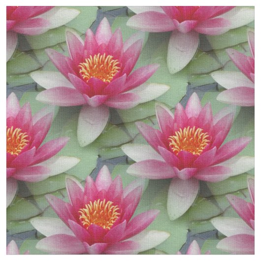 Tissu Lys d'eau de Lotus rose (Fermer)