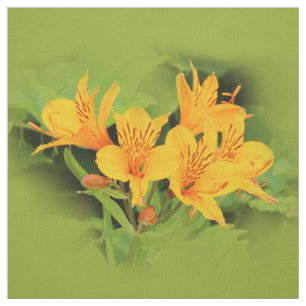 Tissu Lys élégant des Incas / Alstroemeria jaune