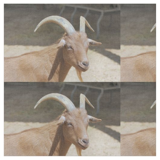 Tissu M. Bill (Fermer)