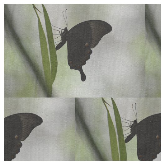 Tissu Machaon noir (Fermer)