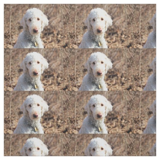 Tissu Mah (Échantillon)