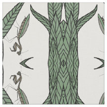 Mantis De Prière En Miroir Sur Feuilles Verts