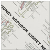 Tissu Manuel d'anatomie de Kidney Nephron Grey (Fermer)