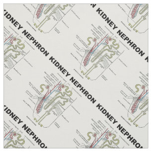 Tissu Manuel d'anatomie de Kidney Nephron Grey