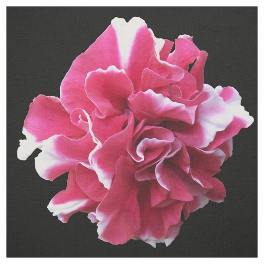 Tissu Marigold (Échantillon)