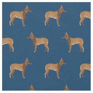 Tissu Marine des chiens malinois belge