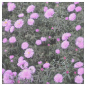 Tissu Mauve Michaelmas Daisies (Fermer)